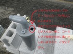 IMGP0828.JPG